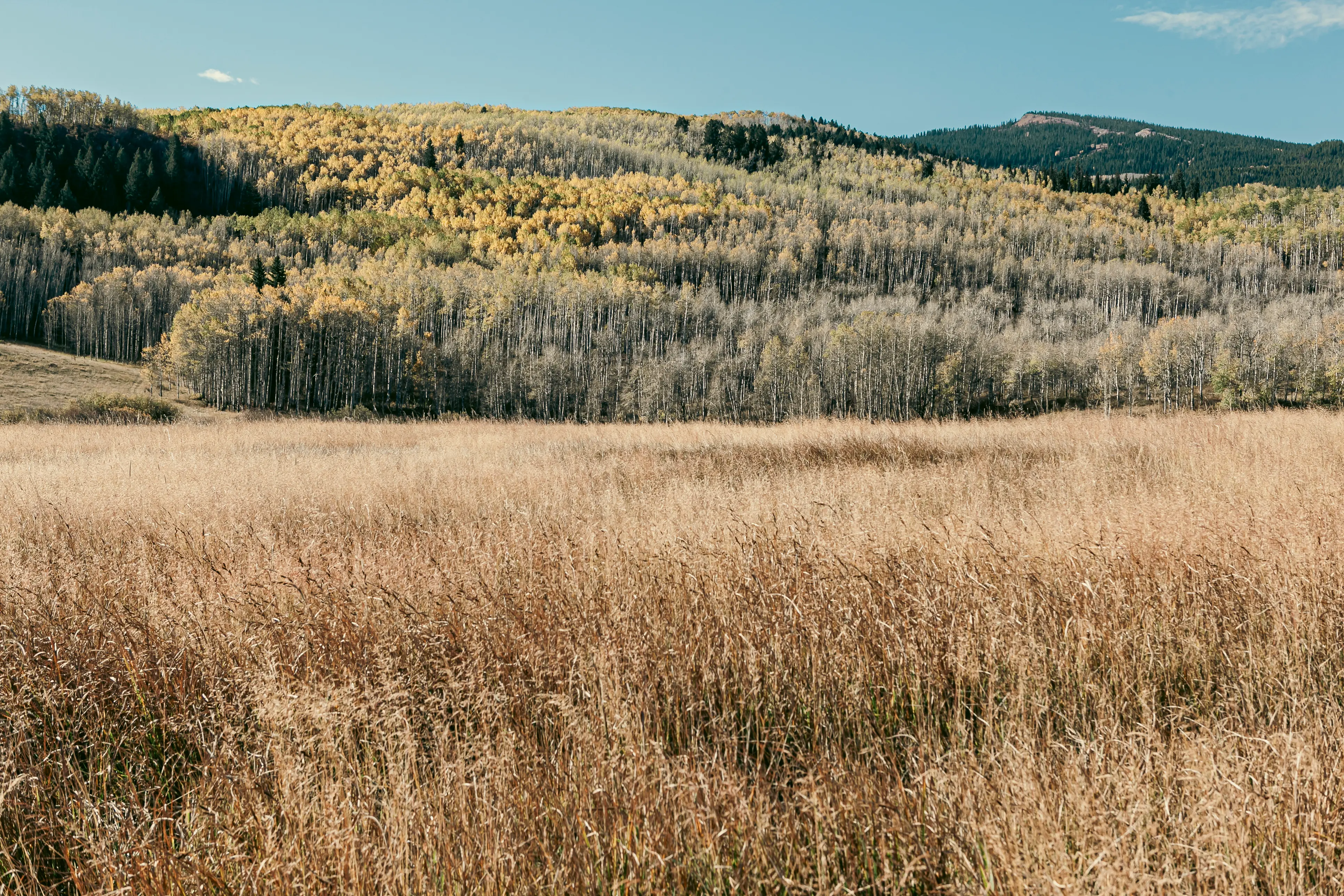 Roadtrip through the mountains and high country of Colorado.