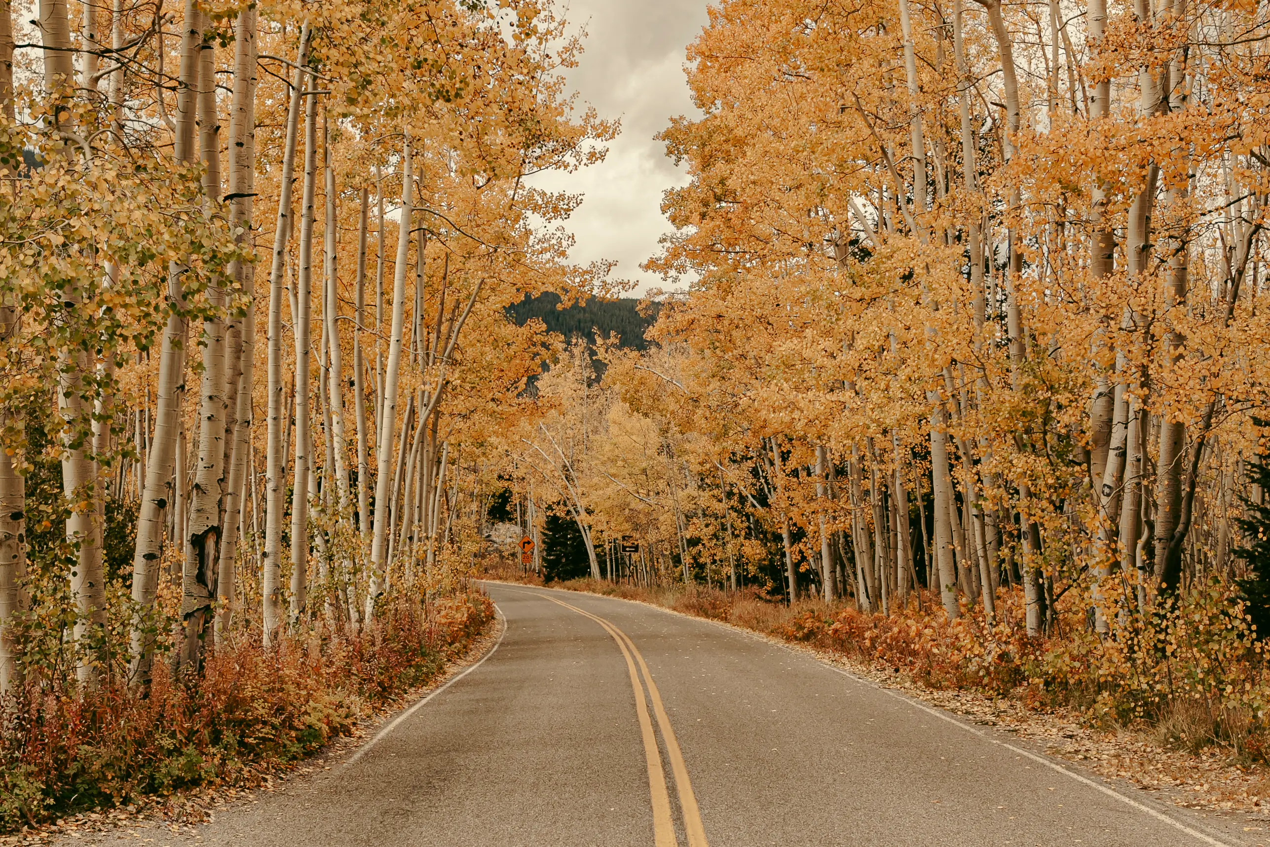 Roadtrip through the mountains and high country of Colorado.