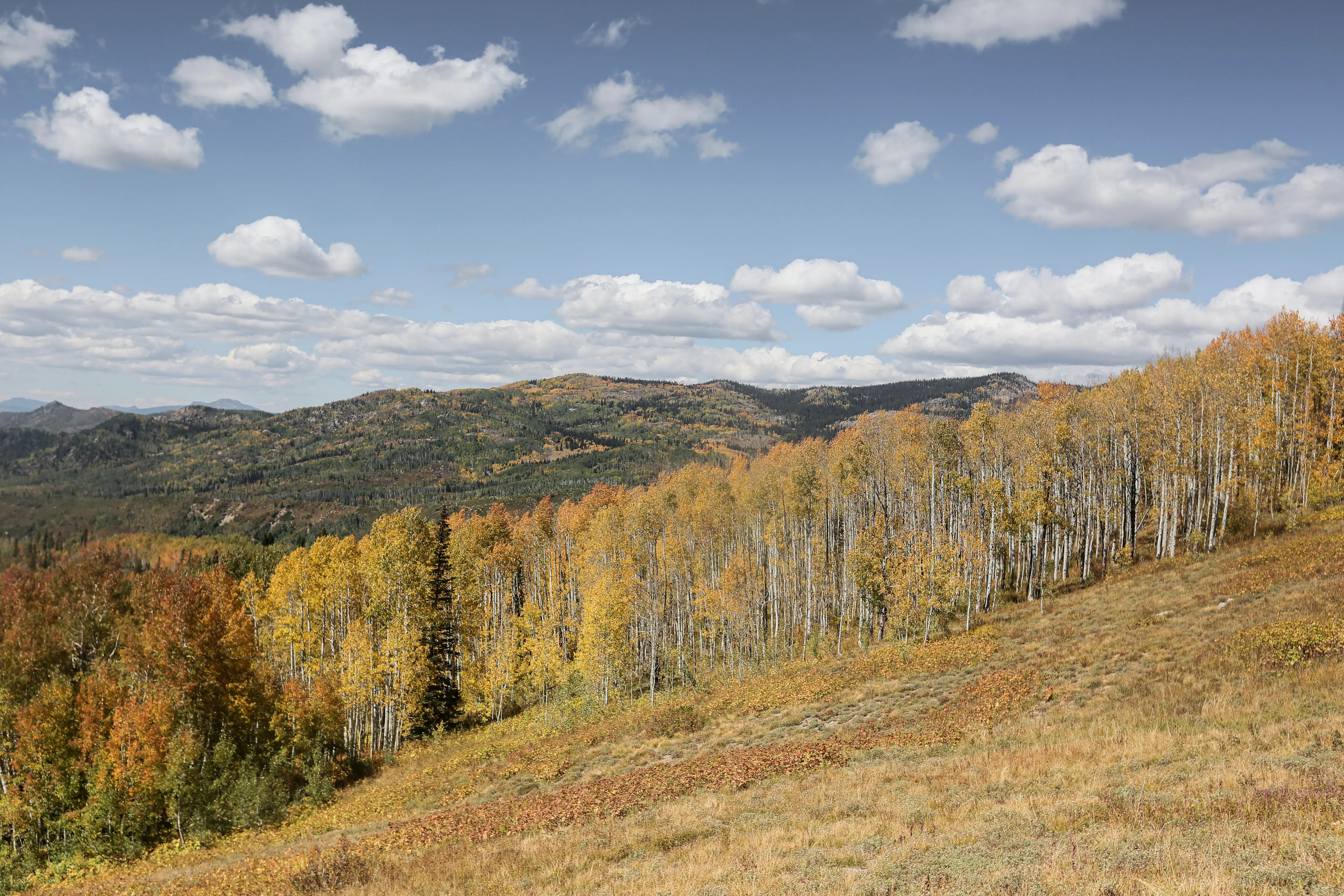 Mountain views along a Colorado scenic byway in the San Juan range.