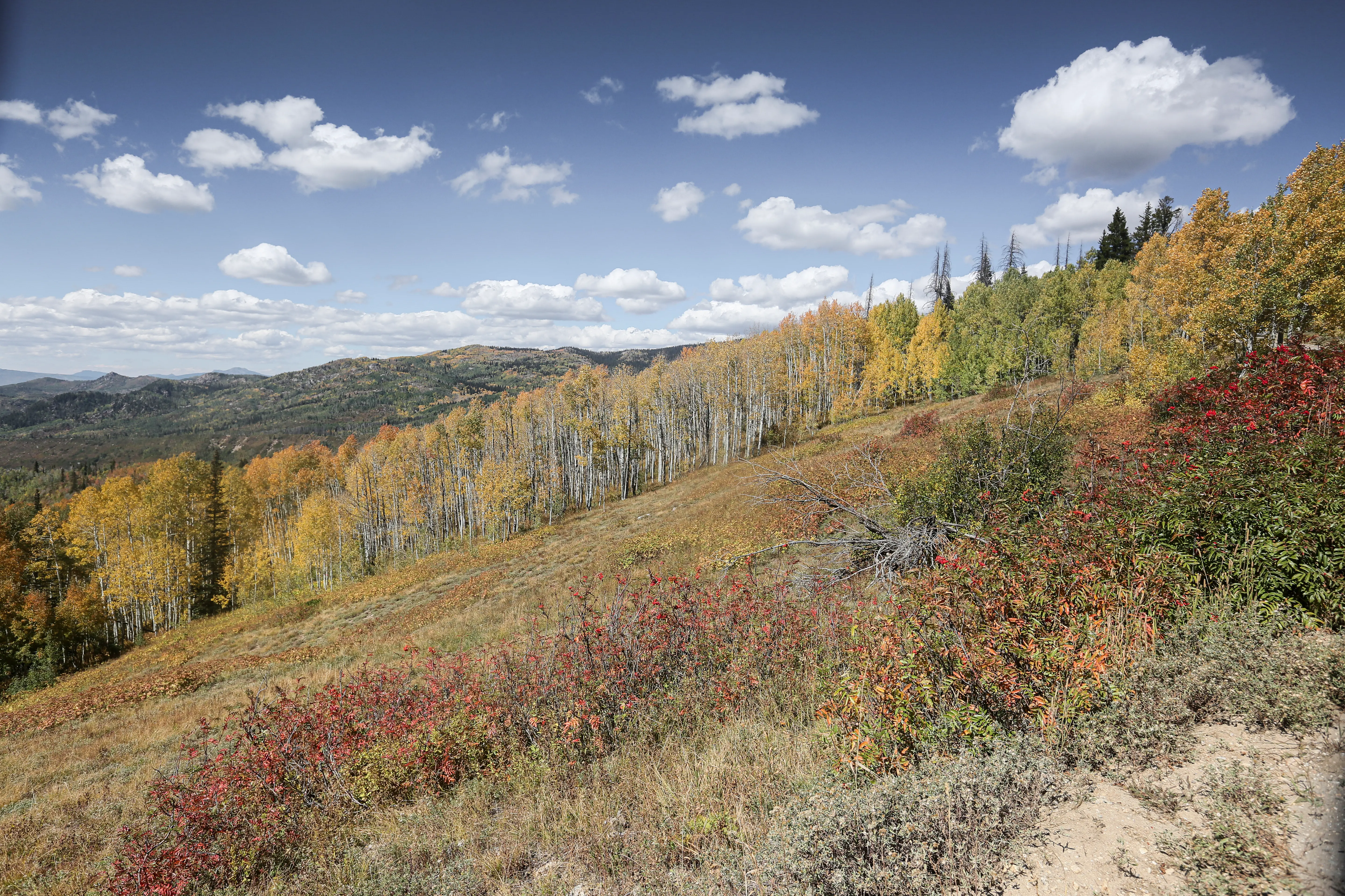 Mountain views along a Colorado scenic byway in the San Juan range.