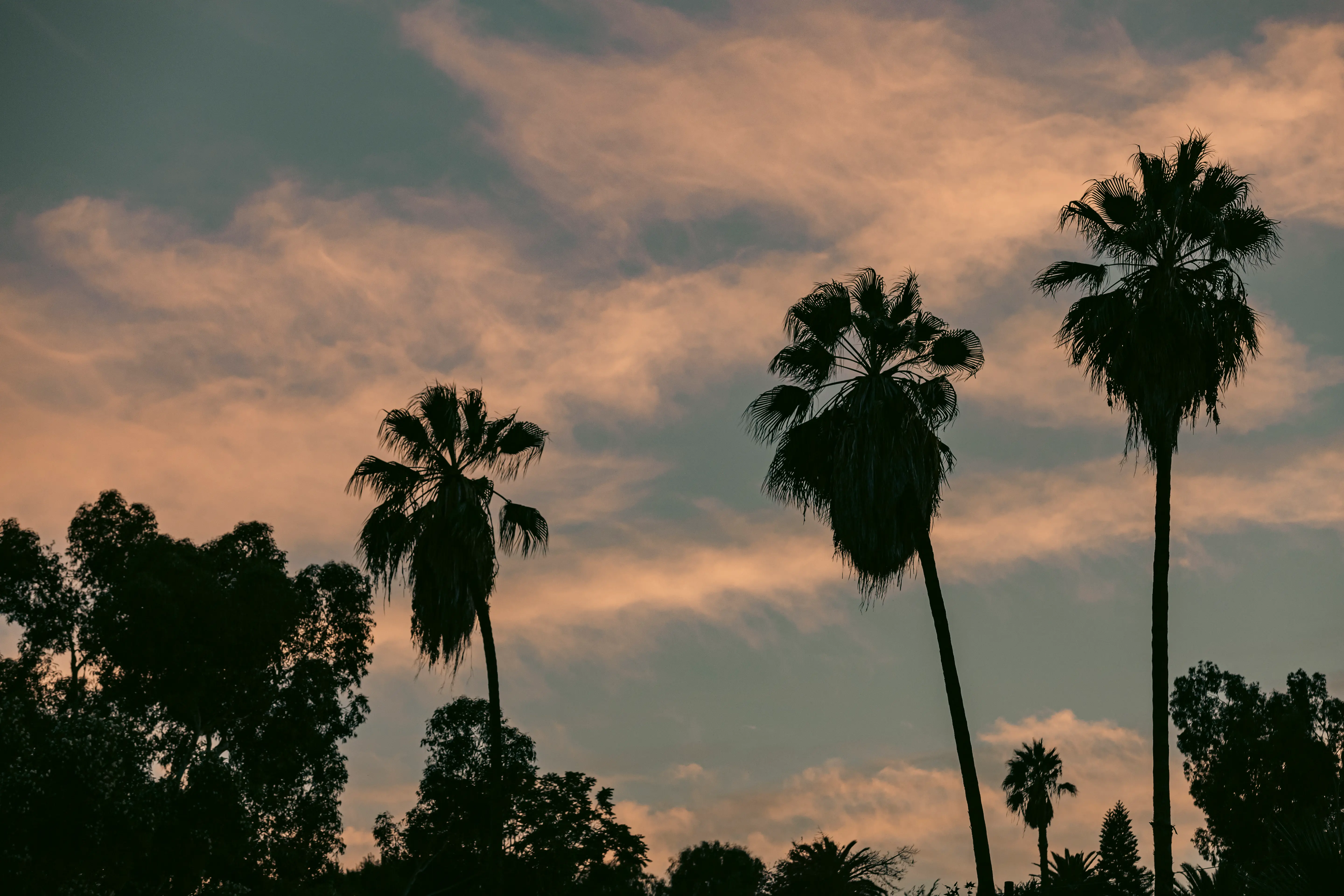 Exploring the Echo Park neighborhood of Los Angeles, California.