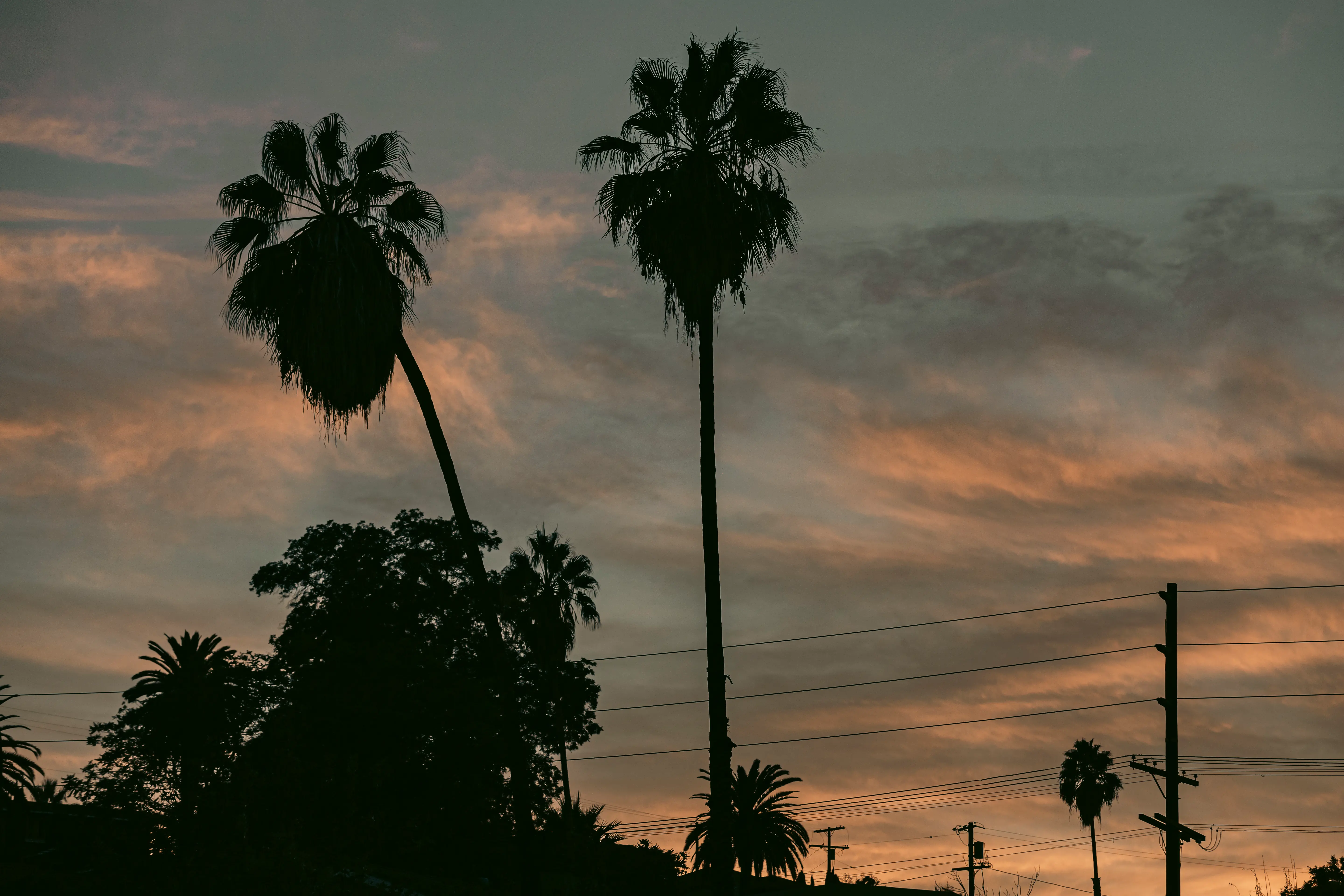 Exploring the Echo Park neighborhood of Los Angeles, California.