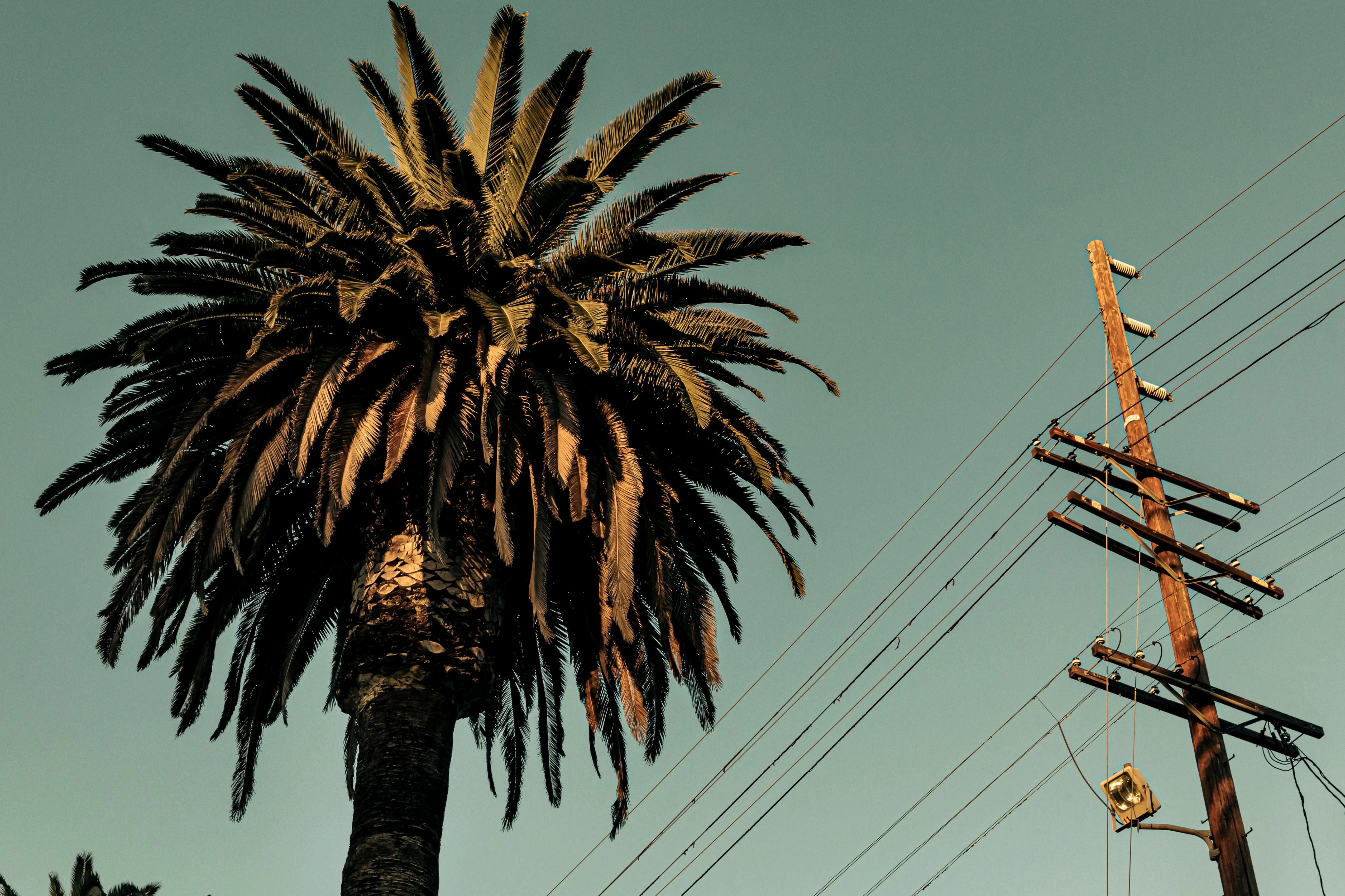 Exploring the Echo Park neighborhood of Los Angeles, California.