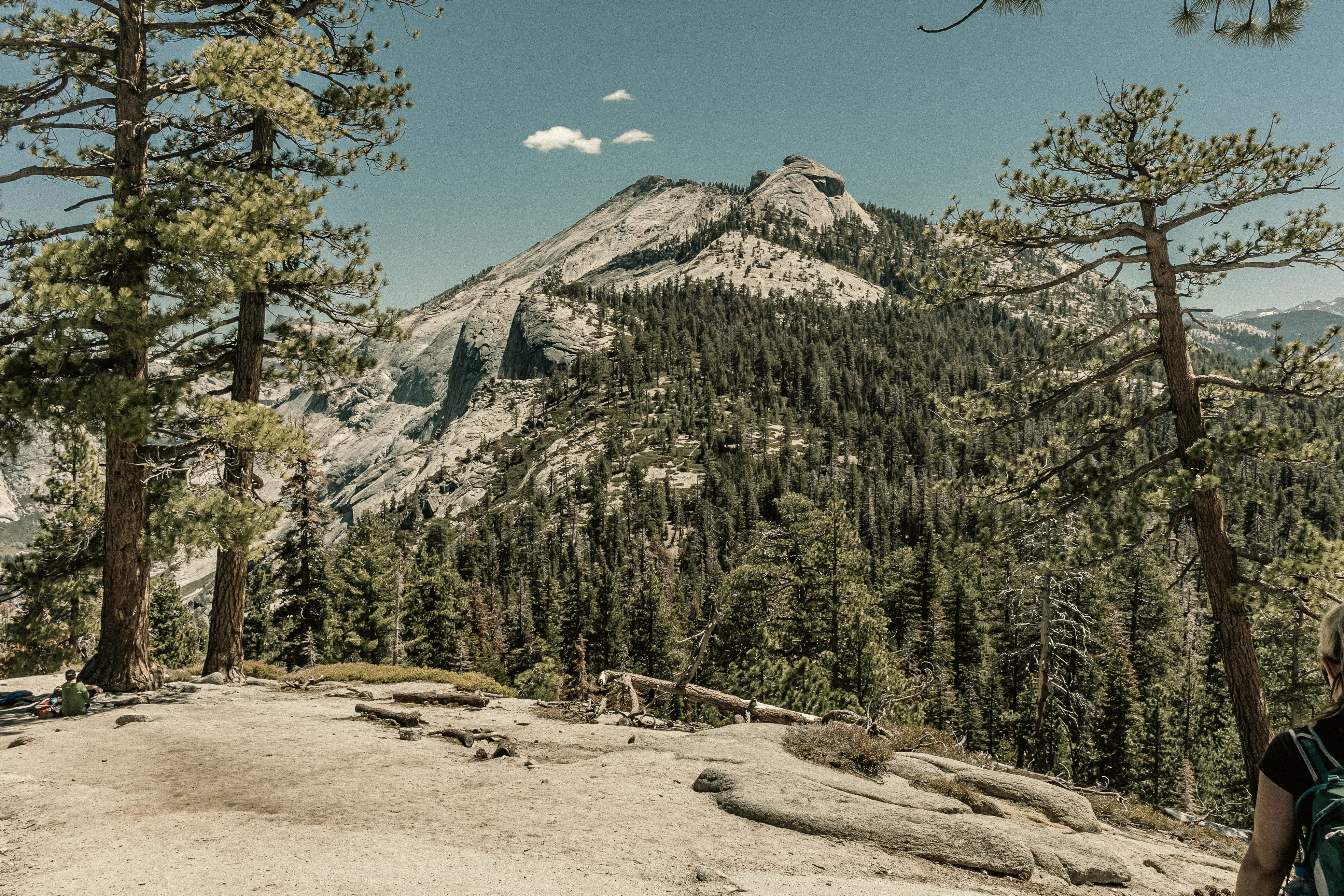 The granite face of Half Dome rising over Yosemite Valley, California.