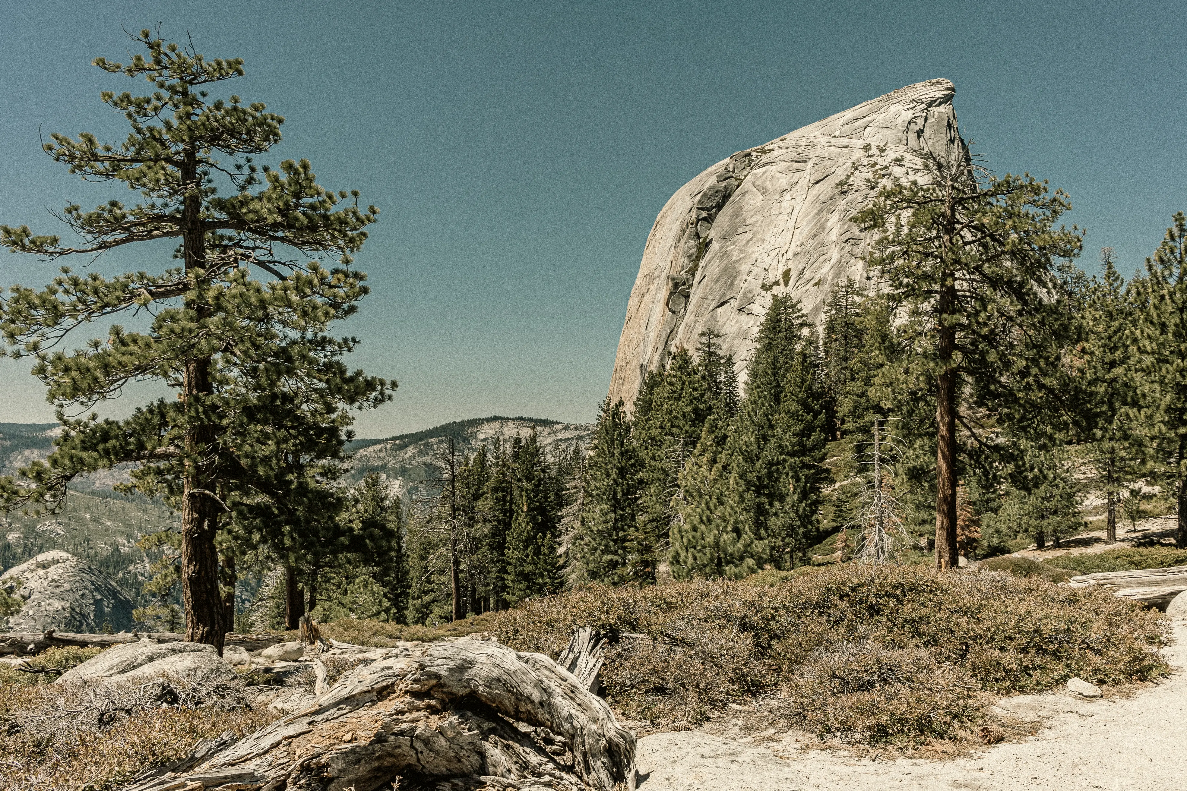 The granite face of Half Dome rising over Yosemite Valley, California.
