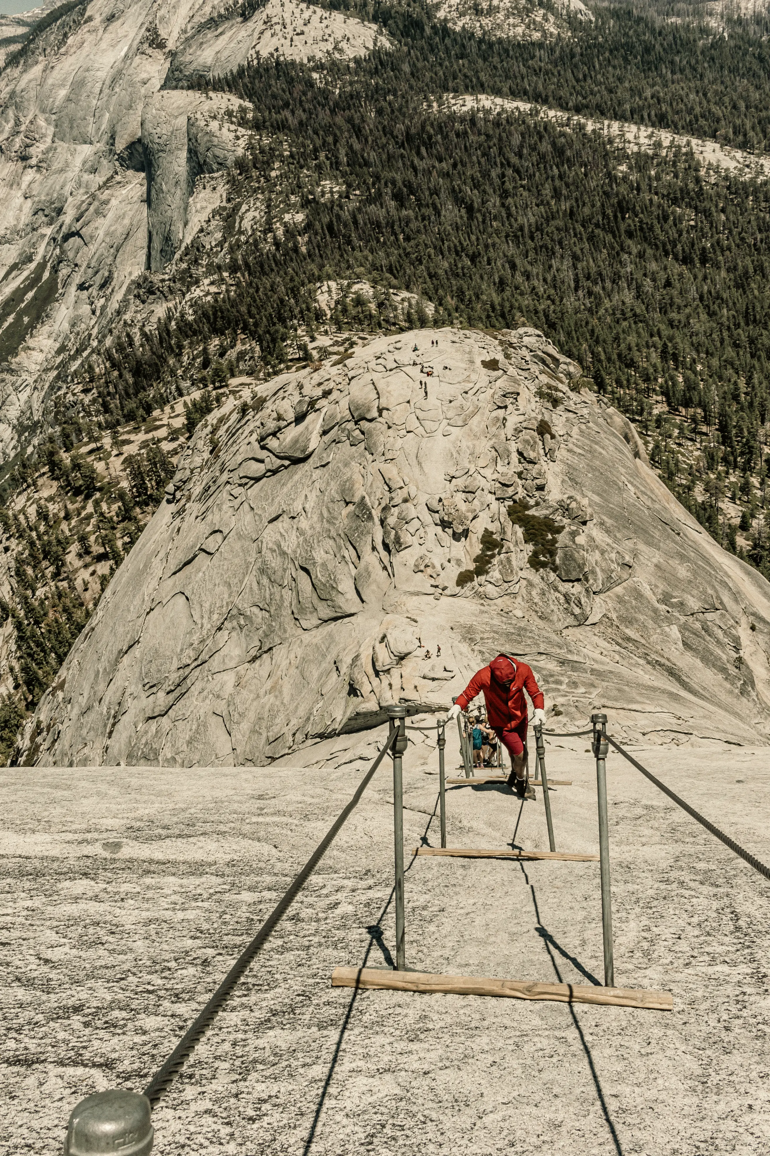 The granite face of Half Dome rising over Yosemite Valley, California.