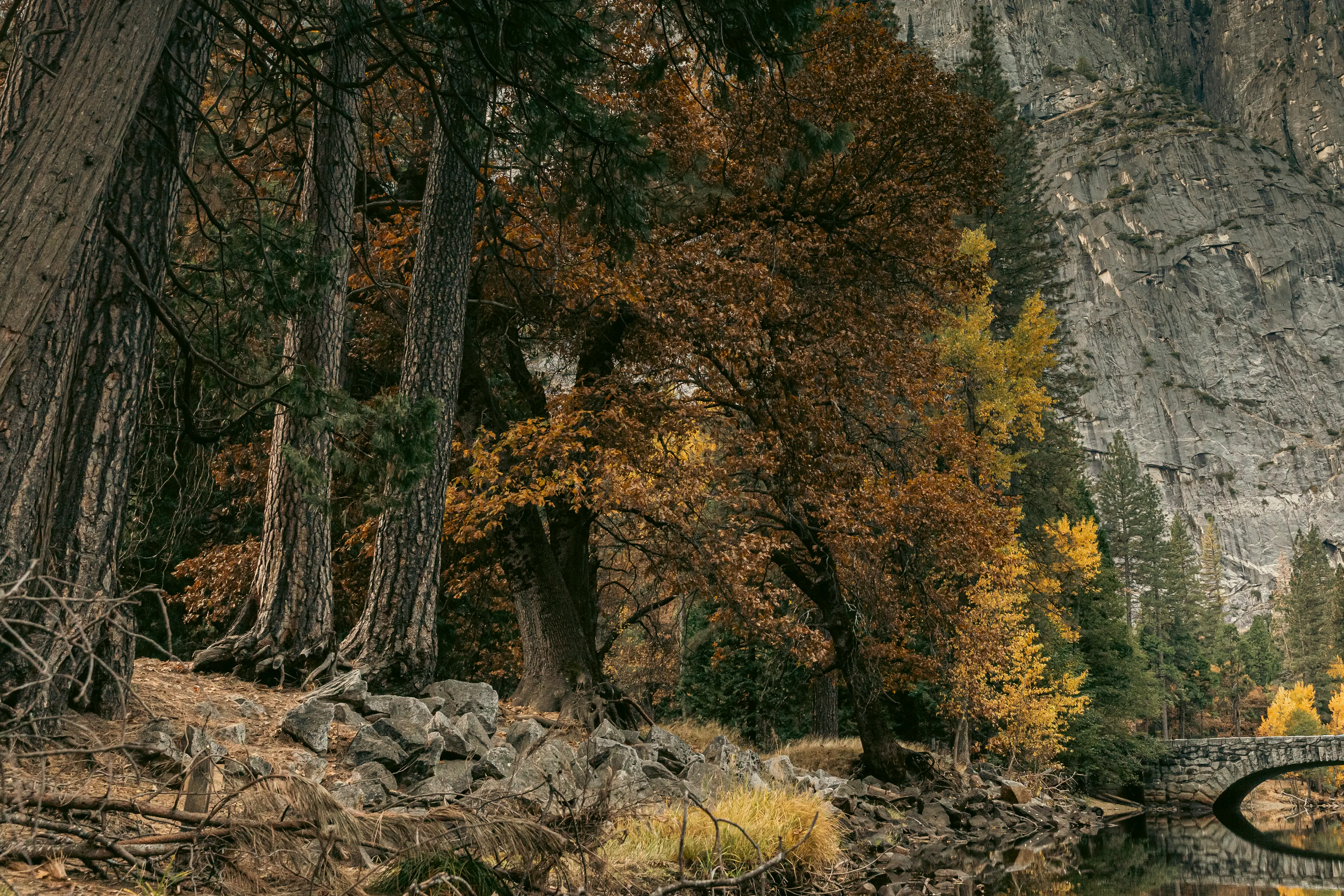 Autumn light across Yosemite Valley, California.